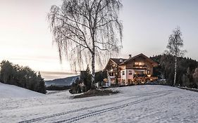 Alpine Boutique Villa Gabriela - Adults Only